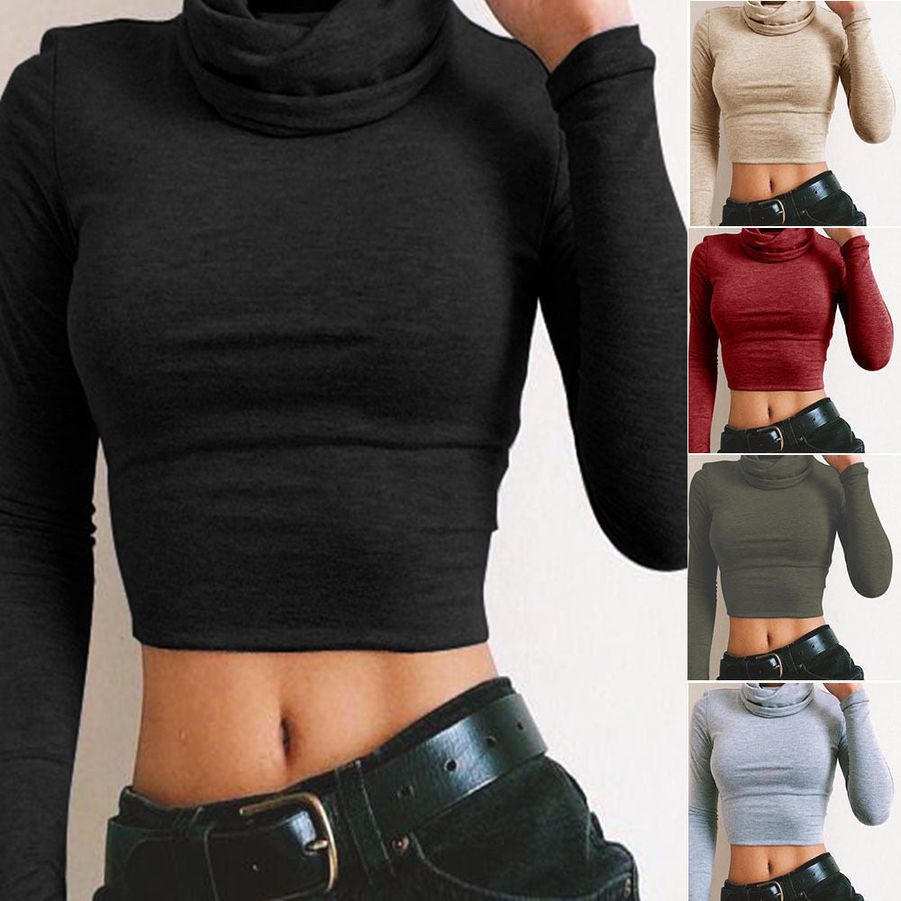 Gracie Long Sleeved Turtleneck Crop Top