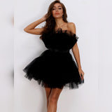 Elizabetta Tulle Belted Mini Dress