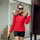 Chic Puffer Jackets