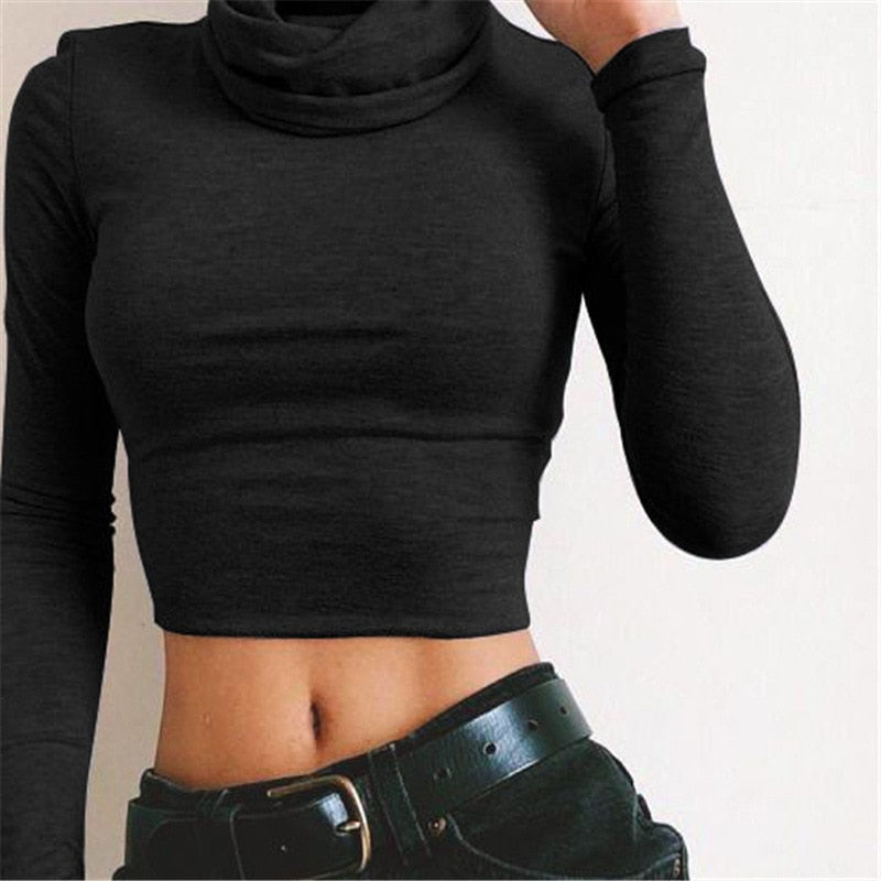 Gracie Long Sleeved Turtleneck Crop Top