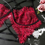 Exotica Lace Garter Set