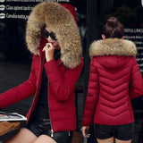 Chic Puffer Jackets