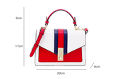 Colorful Chic Square Bag