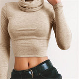 Gracie Long Sleeved Turtleneck Crop Top