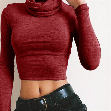 Gracie Long Sleeved Turtleneck Crop Top