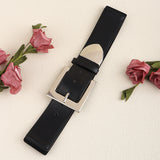 Versatile Elastic Needle Buckle Waist Belt