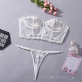 Natalie Lace Corset Bra and Panty Set